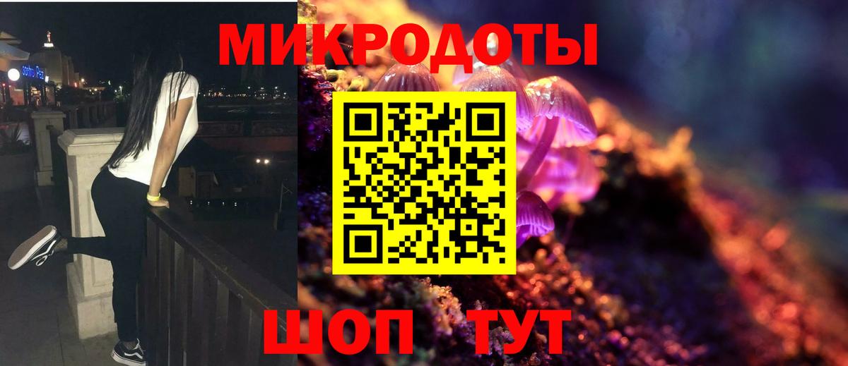 Галлюциногенные грибы Psilocybine cubensis Великие Луки